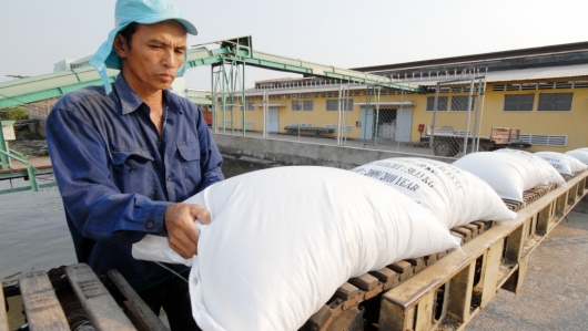 Kim ngạch xuất khẩu gạo năm 2020 tăng hơn 9%