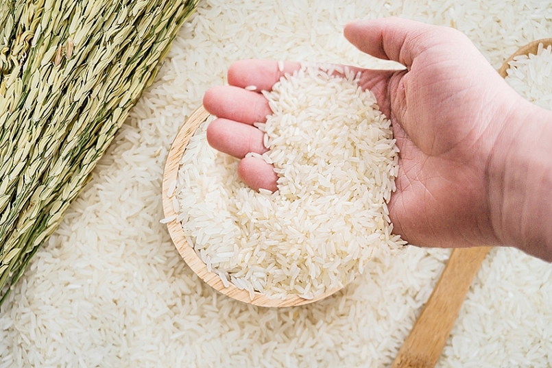 Cập nhật giá gạo hôm nay 9/1: Biến động