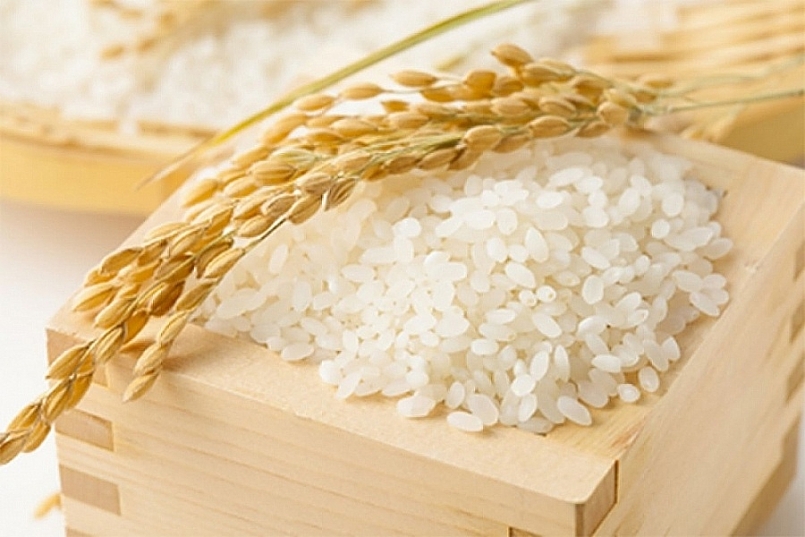 Cập nhật giá gạo hôm nay 12/1: Duy trì ở ngưỡng cao