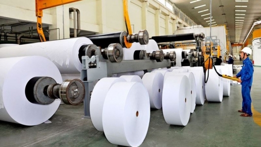 Việt Nam nhập khẩu 1,84 triệu tấn giấy các loại trong 11 tháng