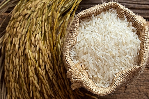Cập nhật giá gạo hôm nay 26/1: Tăng ở một số chủng loại