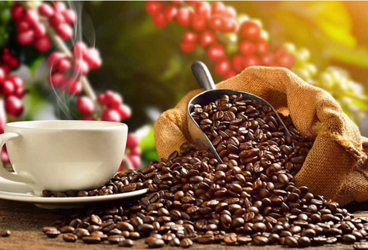 Xuất khẩu cà phê sang thị trường Đức đạt kim ngạch cao nhất
