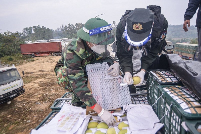 Từ ngày 17/1 đến Tết Nguyên đán Nhâm Dần 2022, tỉnh Lạng Sơn tạm thời dừng tiếp nhận phương tiện chở mặt hàng hoa quả tươi lên cửa khẩu.