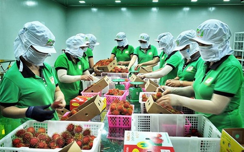 Trung Quốc tăng nhập khẩu rau quả chế biến từ Việt Nam