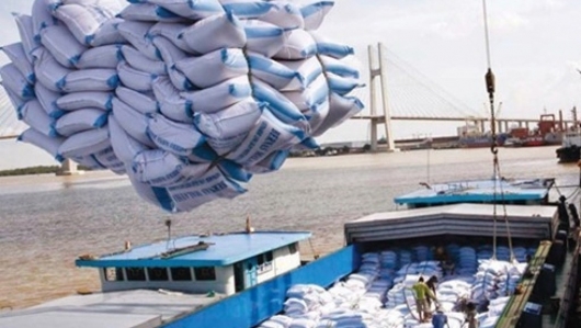 Xuất khẩu 6,24 triệu tấn gạo trong năm 2021
