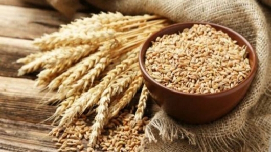 Kim ngạch nhập khẩu lúa mì năm 2021 tăng 82,8%