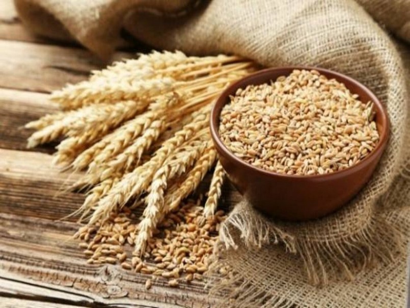 Kim ngạch nhập khẩu lúa mì năm 2021 tăng 82,8%