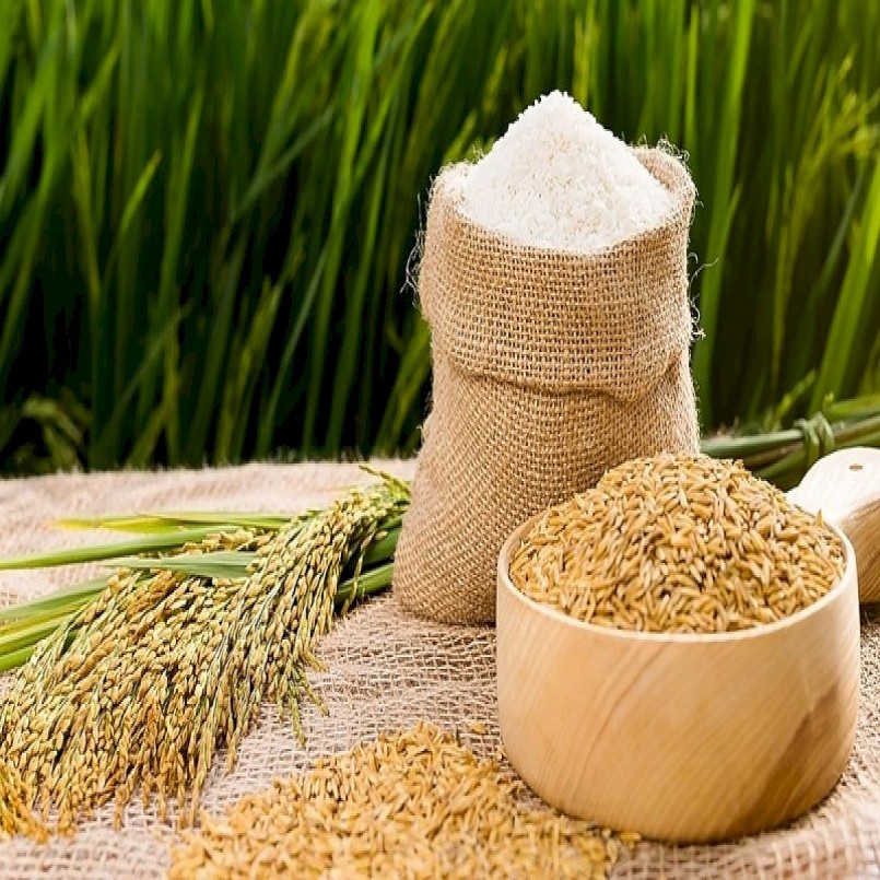 Xuất khẩu gạo có nhiều cơ hội bứt phá trong năm 2022