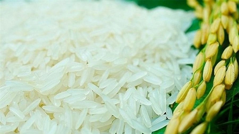 Giá gạo hôm nay 3/2: Ổn định