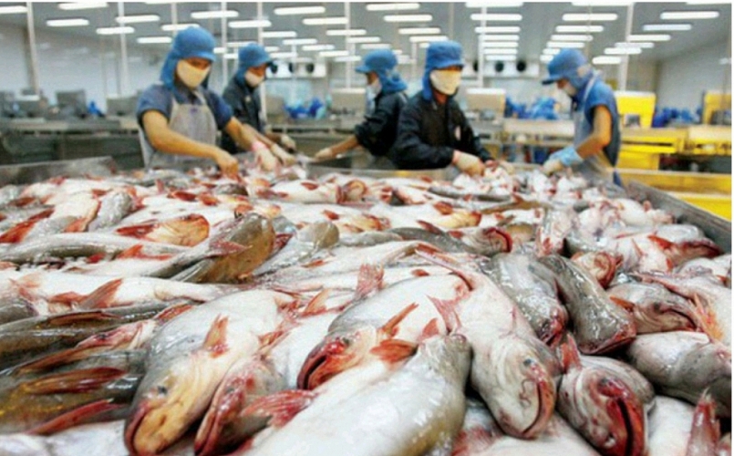 Campuchia ngừng nhập khẩu 4 loại cá da trơn từ Việt Nam