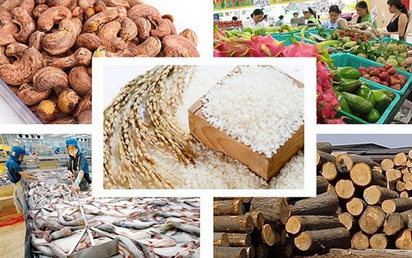 Xuất khẩu nông sản tháng 1/2021 tăng 27,1%, thu về gần 3,5 tỷ USD