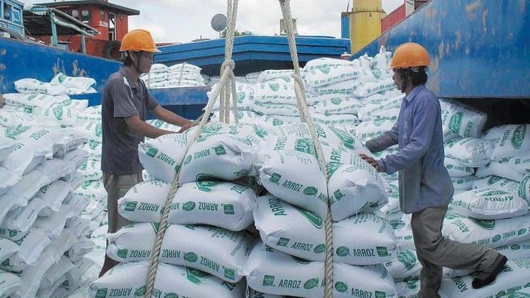 VDSC: Sản lượng xuất khẩu gạo của Việt Nam dự kiến không tăng trong năm 2021