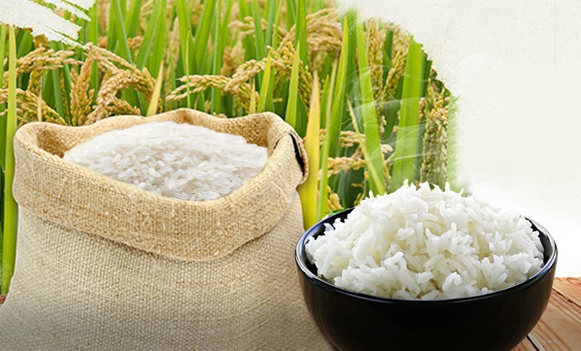 Giá gạo hôm nay 20/2: Giữ mức ổn định