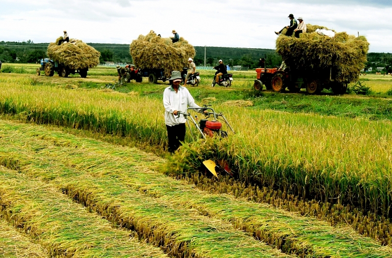 Chuyển mục đích sử dụng hơn 21 ha đất trồng lúa tại Cần Thơ