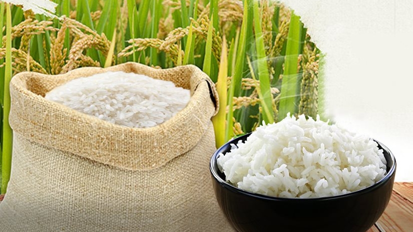 Giá gạo hôm nay 26/2: Quay đầu giảm