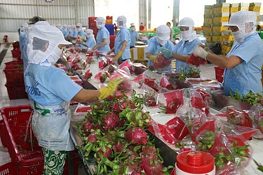 Hiệp định UKVFTA: Kim ngạch thương mại song phương Việt – Anh bứt phá ngoạn mục