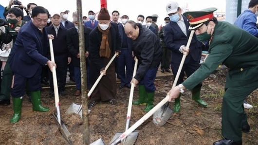 Chủ tịch nước phát động Tết trồng cây Xuân Nhâm Dần tại Phú Thọ