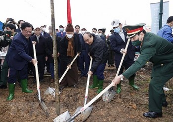 Chủ tịch nước phát động Tết trồng cây Xuân Nhâm Dần tại Phú Thọ