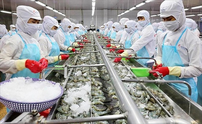 Top 10 thị trường đơn lẻ nhập khẩu thủy sản Việt Nam