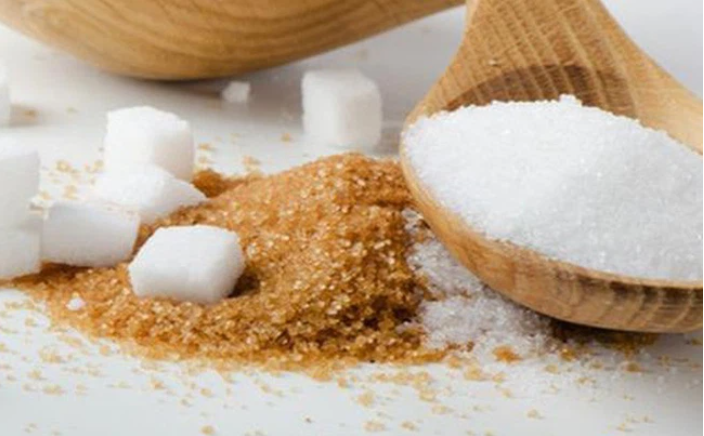 Nỗi lo của ngành mía đường