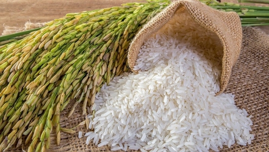 Giá gạo hôm nay 1/3: Không xuất hiện biến động
