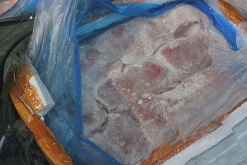 Thanh Hóa: Xử phạt cá nhân kinh doanh 9 tấn nầm lợn đông lạnh không rõ nguồn gốc