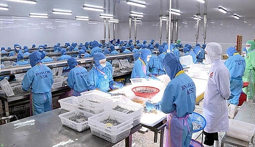 VASEP đồng ý không tăng lương tối thiểu năm 2021