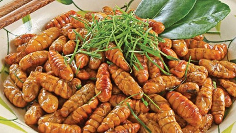 Việt Nam chính thức được xuất khẩu thực phẩm làm từ côn trùng vào EU