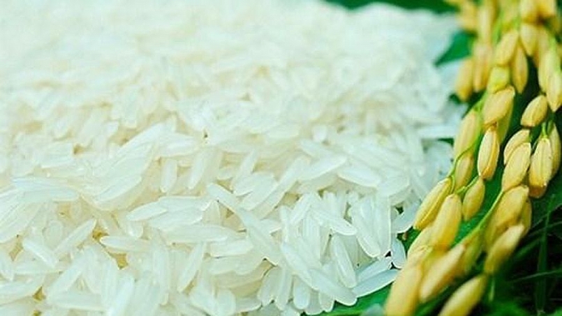 Giá gạo hôm nay 23/3: Tăng ở một số chủng loại