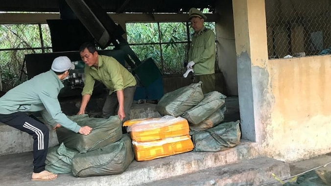 Lạng Sơn: Tiêu hủy hơn 2 tấn nầm lợn không rõ nguồn gốc