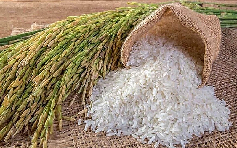 Giá gạo hôm nay 26/3: Trong nước ổn định, xuất khẩu tăng