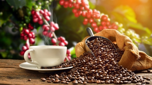 Giá cà phê hôm nay 27/3: Tăng từ 300 - 400 đồng/kg
