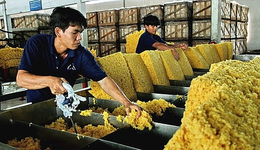 Việt Nam xuất khẩu cao su sang Mỹ tăng cả lượng và giá trị