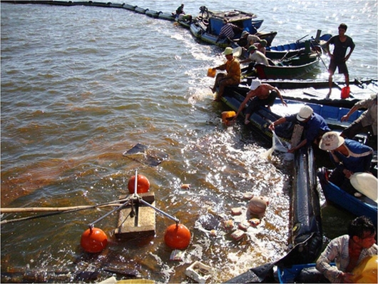 Quy chế hoạt động ứng phó hiệu quả sự cố tràn dầu