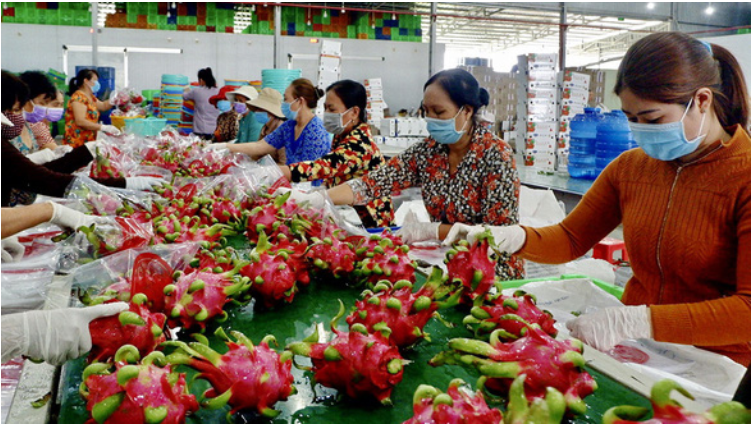 18 nhóm thực phẩm phải đăng ký khi xuất khẩu vào thị trường Trung Quốc