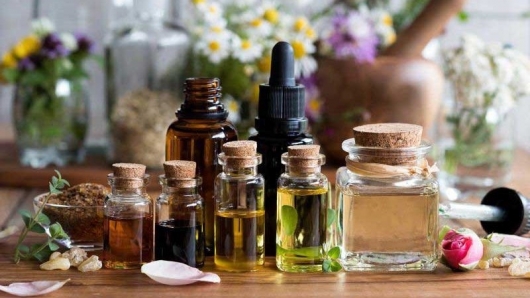 Doanh nghiệp Thụy Điển tìm nhà sản xuất tinh dầu