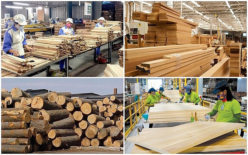 Phấn đấu giá trị xuất khẩu gỗ và lâm sản đạt 20 tỷ USD vào năm 2025
