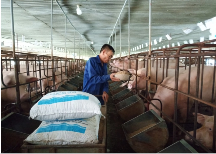 Thức ăn chăn nuôi nhập khẩu về Việt Nam nhiều nhất có xuất xứ từ Achentina 