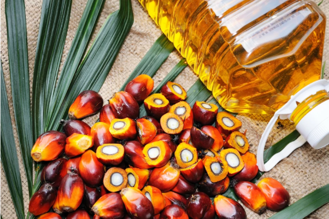Indonesia hủy bỏ Quy định về giá bán lẻ cao nhất đối với dầu cọ