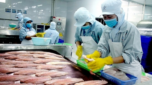Mỹ áp thuế chống bán phá giá với 49 doanh nghiệp Việt xuất khẩu cá tra, cá ba sa