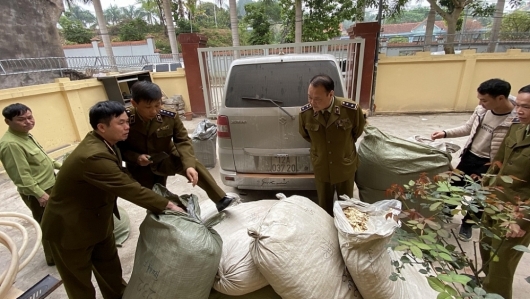 Lạng Sơn: Chặn đứng 225 kg nguyên liệu thuốc bắc nhập lậu