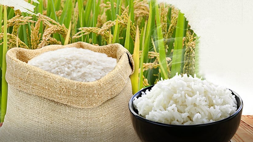 Giá gạo hôm nay 8/4: Gạo xuất khẩu bật tăng