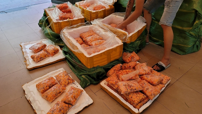 Hà Nội: Tạm giữ 600kg tràng trứng gà non không rõ nguồn gốc xuất xứ