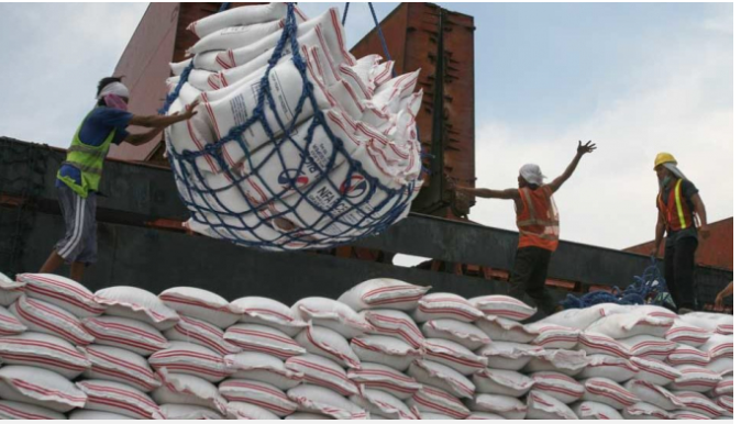 Philippines vẫn đứng đầu về nhập khẩu gạo của Việt Nam