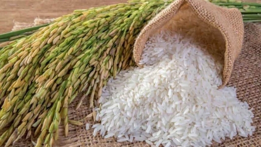 Giá gạo hôm nay 22/4: Tăng ở một số chủng loại