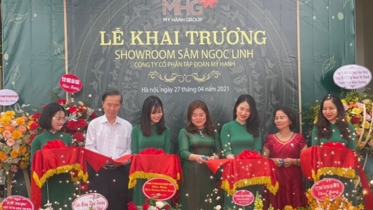 Mỹ Hạnh Group khai trương showroom Sâm Ngọc Linh tại Hà Nội