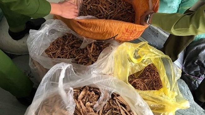 Lạng Sơn: Thu giữ gần 1 tấn nguyên liệu thuốc bắc không rõ nguồn gốc