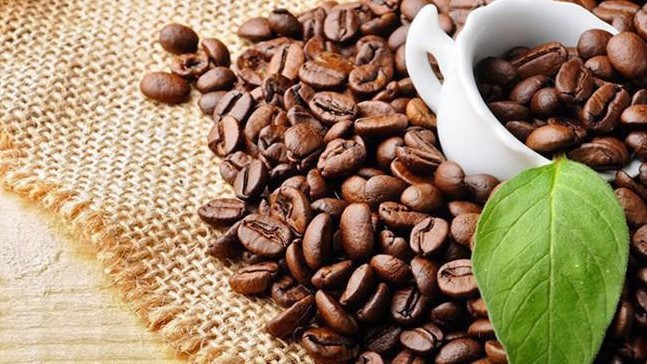 Cơ hội xuất khẩu cà phê sang Algeria