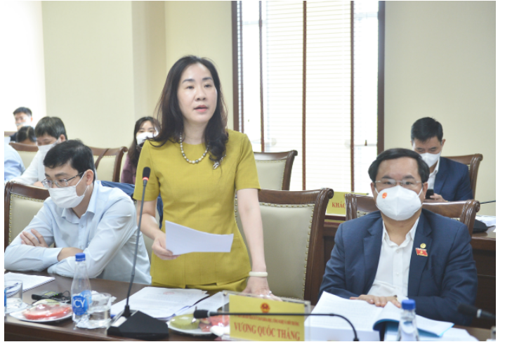 Phó Chủ nhiệm Ủy ban Kinh tế của Quốc hội Đoàn Thị Thanh Mai đóng góp ý kiến cho dự án Luật.