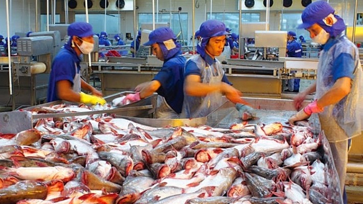 Nắm bắt thời cơ, đẩy mạnh xuất khẩu cá tra sang Malaysia